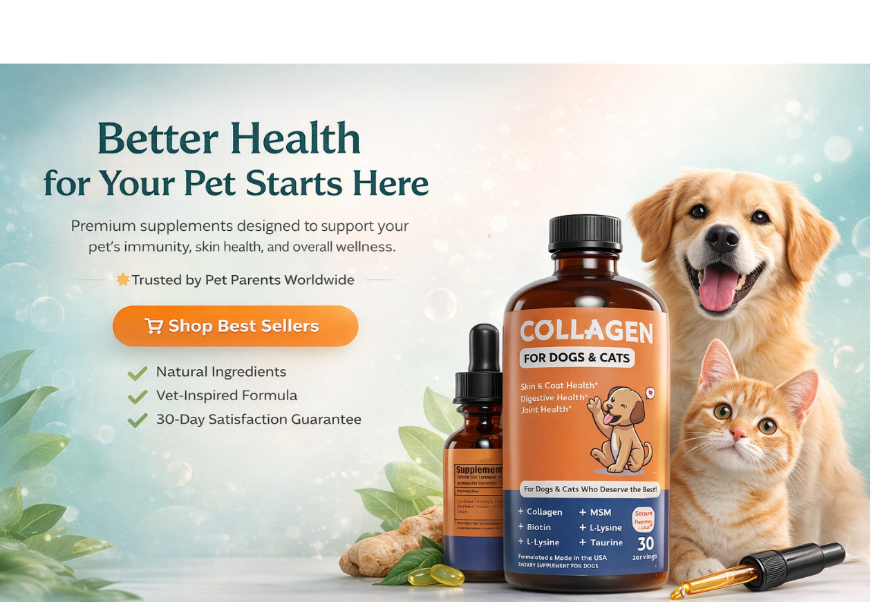 Collagen supplement for dogs and cats with a happy dog and cat on a light background